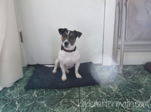 There is some decent definition between Bug and the door, but most of my photos here had nasty lens flair. If the shadows hadn't set him off from the white, it would be difficult to separate him from the door.