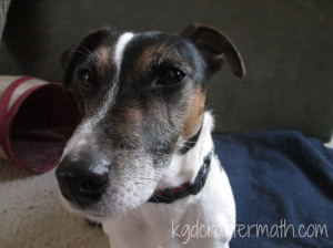 Bug is dubious about a photo shoot....